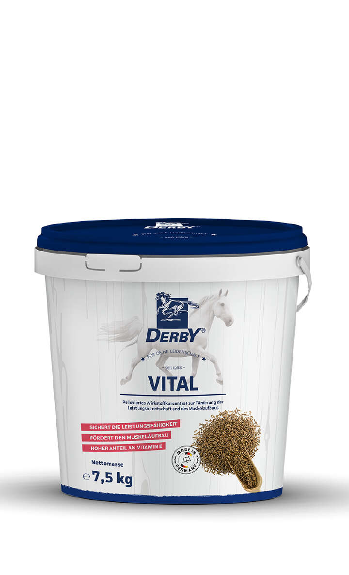 DERBY Vital